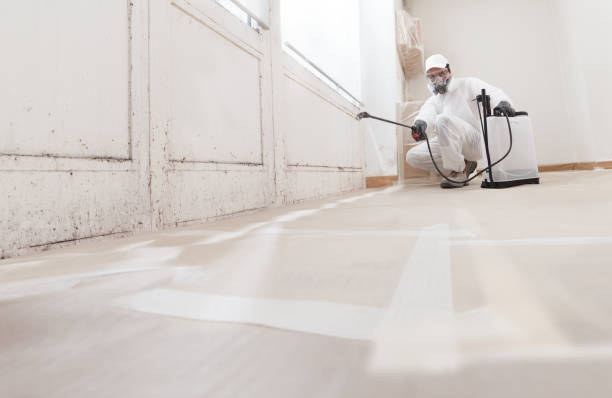 24/7 Emergency Black Mold Removal experts in Princeton, NC